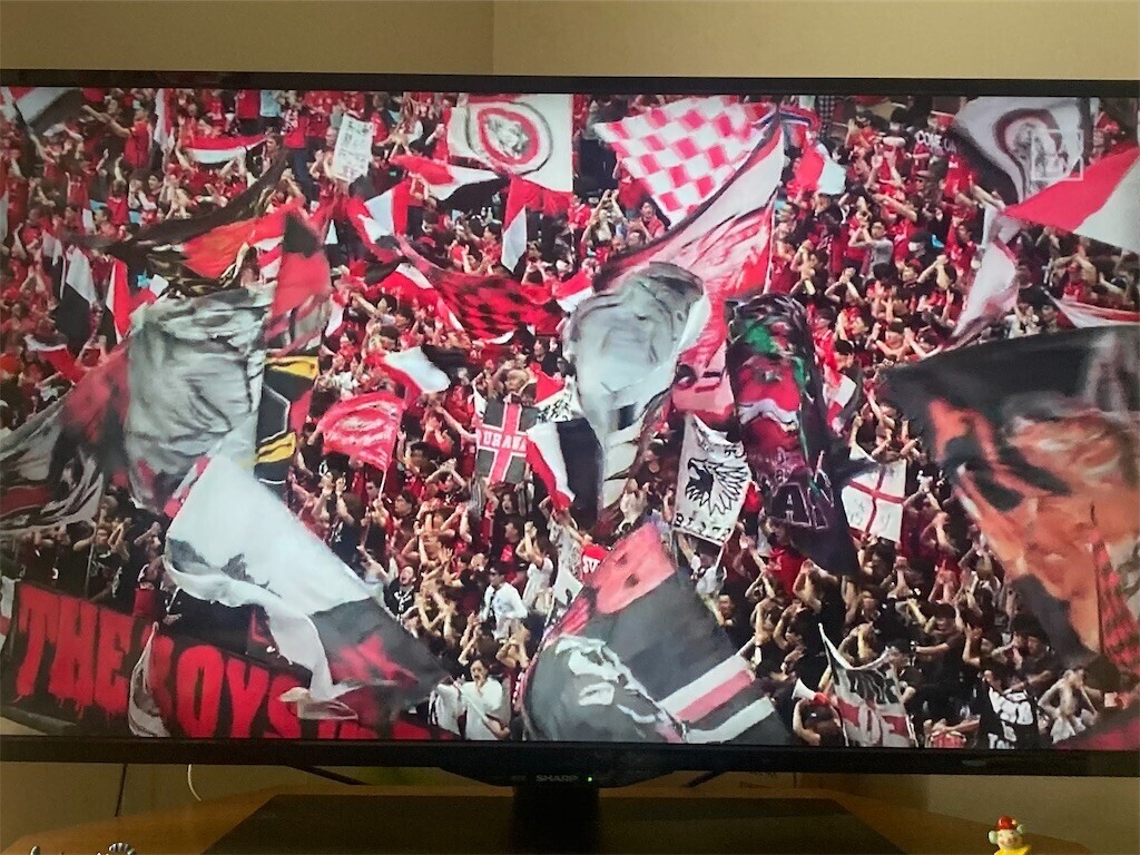 f:id:Magnoliarida:20230520130821j:image f:id:Magnoliarida:20230520130821j:image