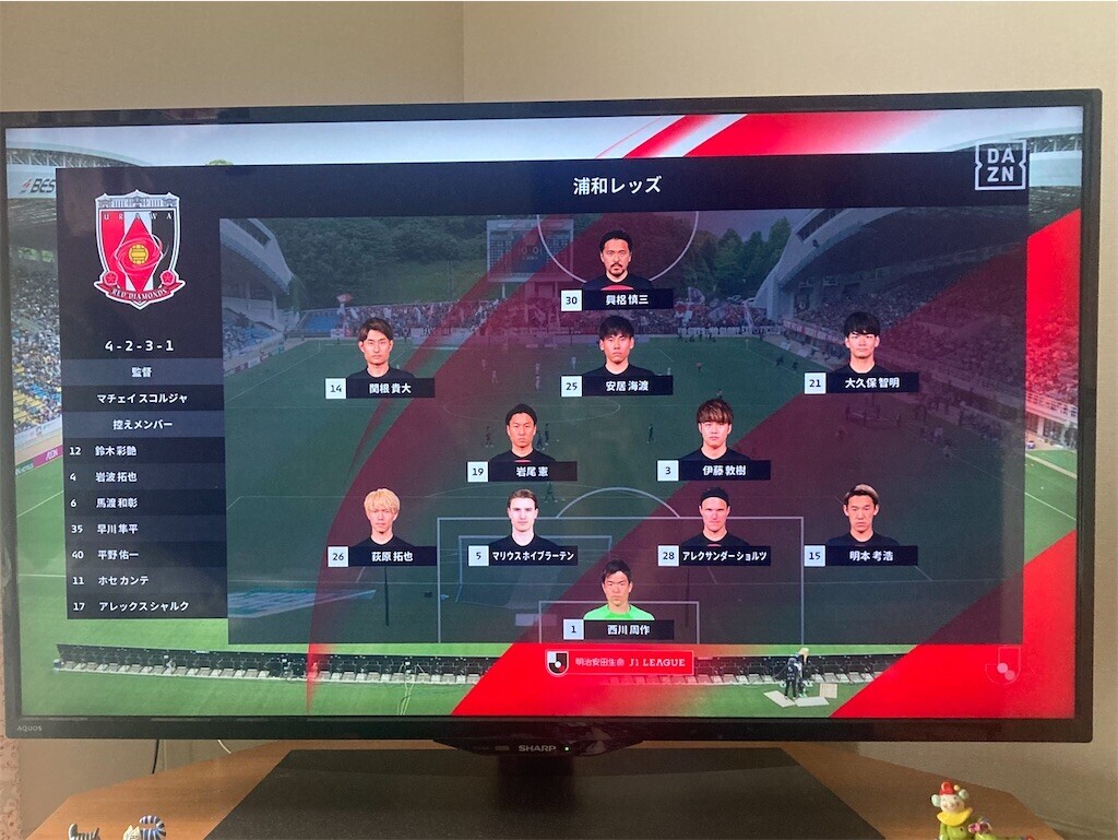 f:id:Magnoliarida:20230520130828j:image f:id:Magnoliarida:20230520130828j:image