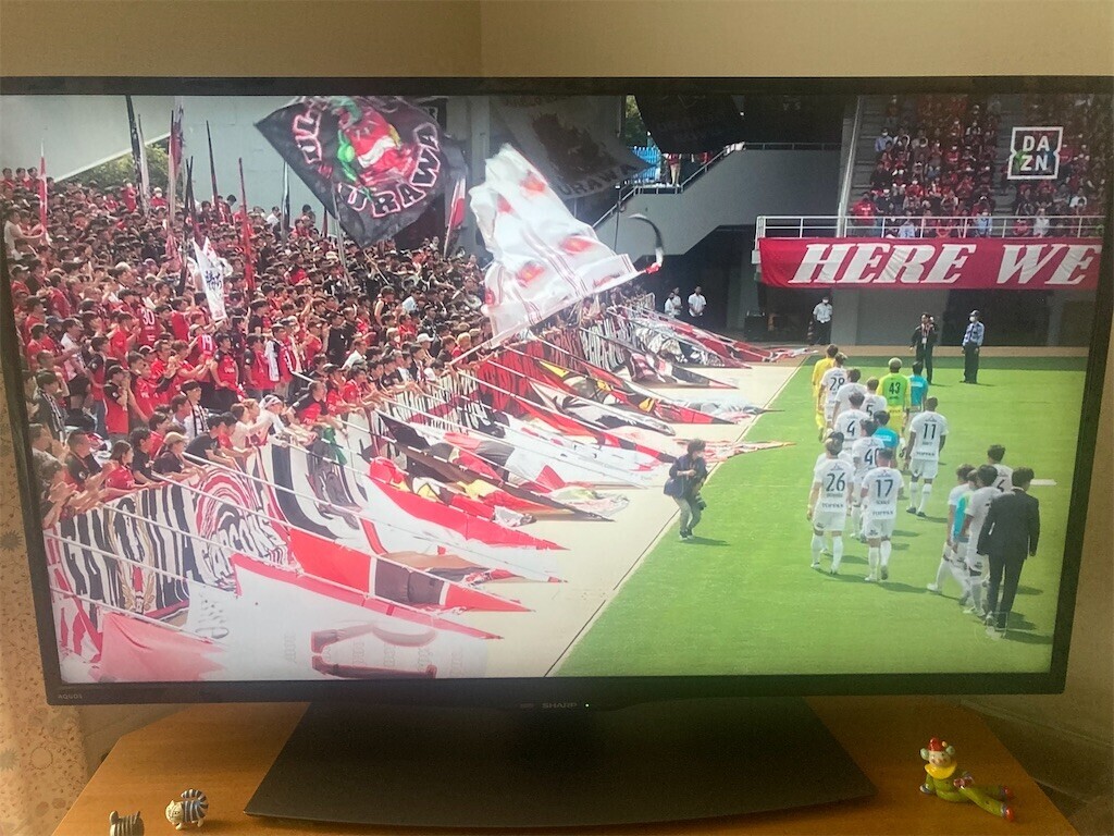 f:id:Magnoliarida:20230520161418j:image f:id:Magnoliarida:20230520161418j:image