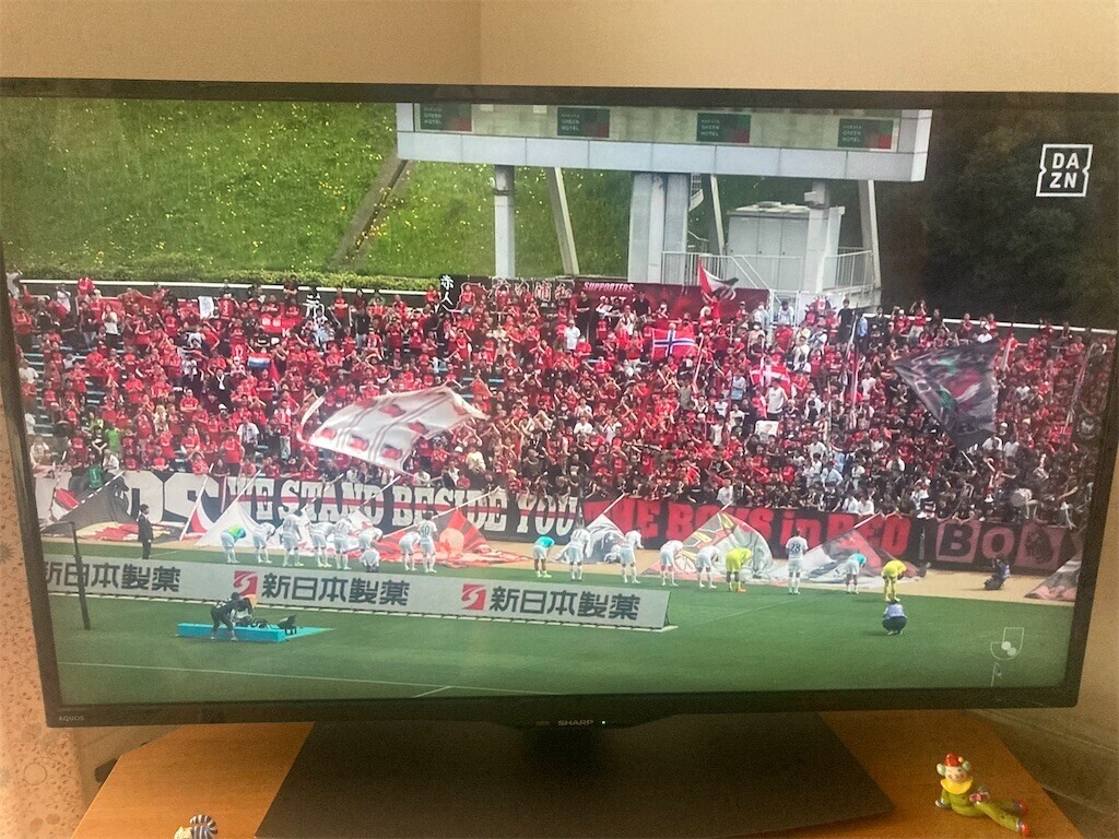 f:id:Magnoliarida:20230520161422j:image f:id:Magnoliarida:20230520161422j:image