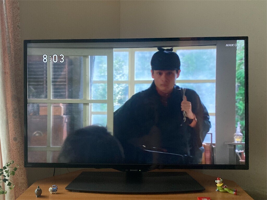 f:id:Magnoliarida:20230523090644j:image