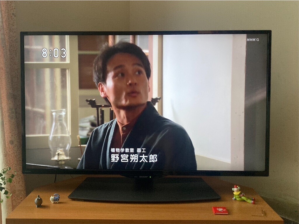 f:id:Magnoliarida:20230523090657j:image