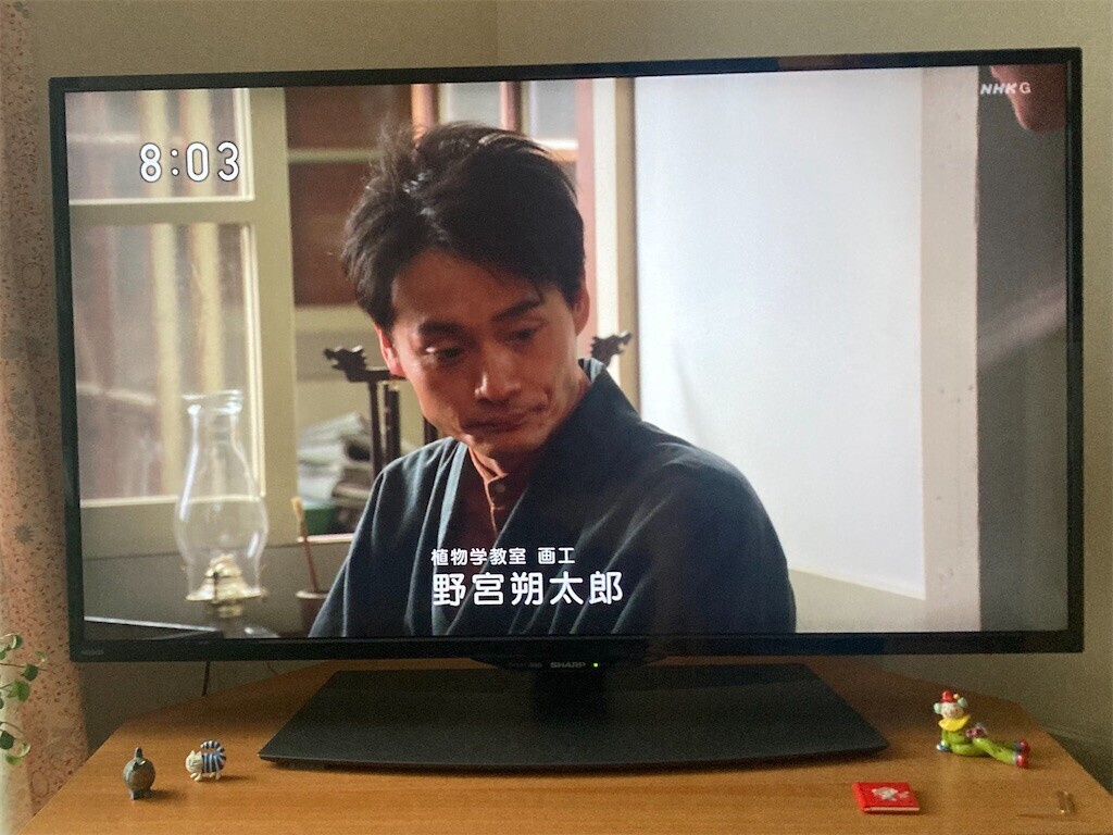 f:id:Magnoliarida:20230523090700j:image