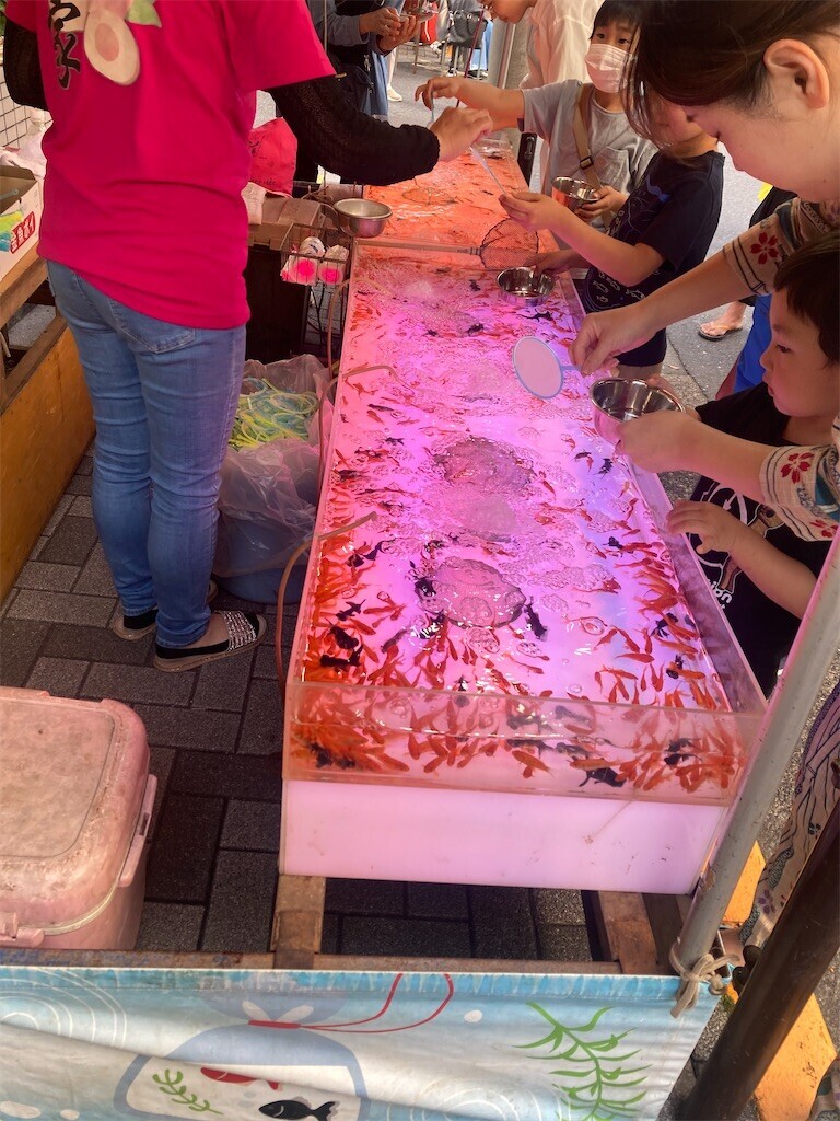 f:id:Magnoliarida:20230528013834j:image