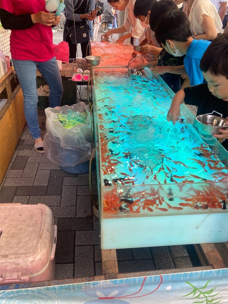 f:id:Magnoliarida:20230528013837j:image