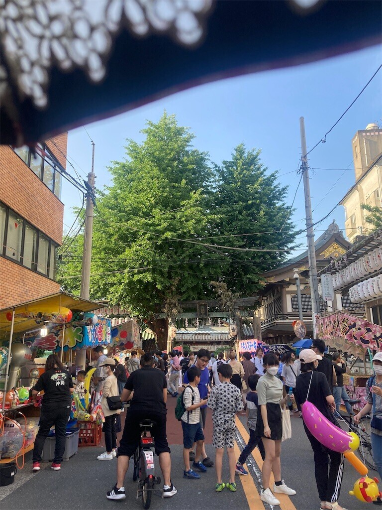 f:id:Magnoliarida:20230528015046j:image