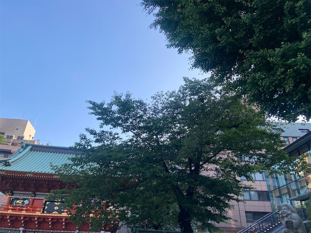 f:id:Magnoliarida:20230528015926j:image