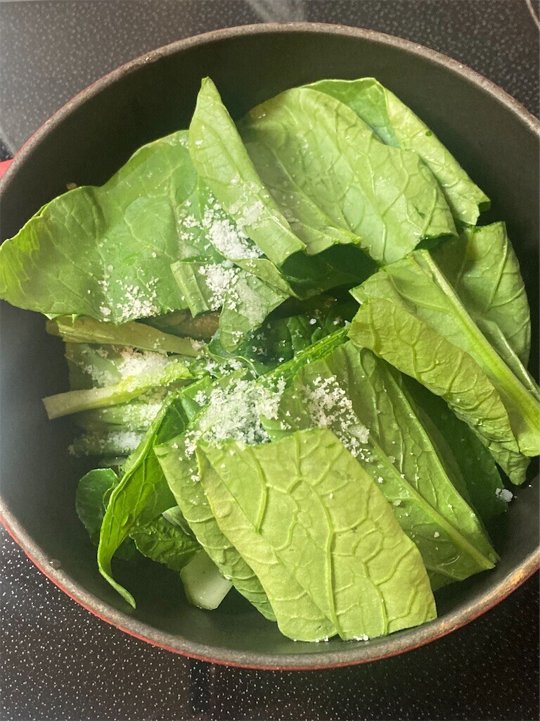 f:id:Magnoliarida:20230531073445j:image f:id:Magnoliarida:20230531073445j:image