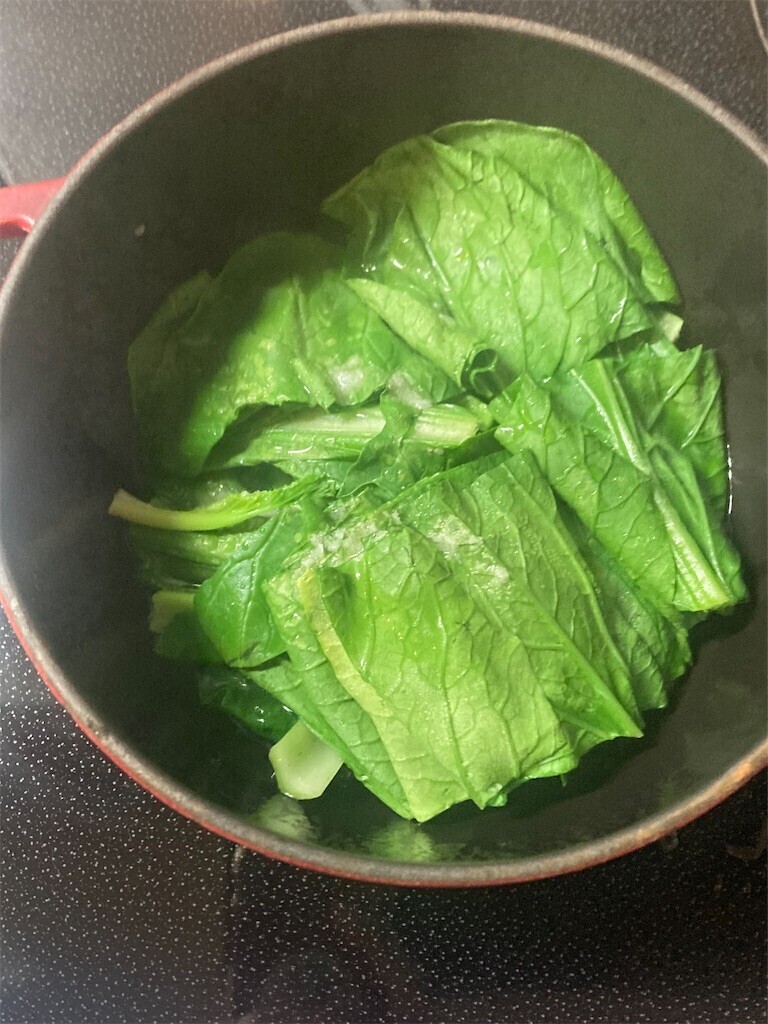 f:id:Magnoliarida:20230531073448j:image f:id:Magnoliarida:20230531073448j:image