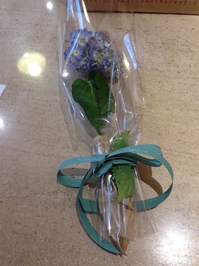 f:id:Magnoliarida:20230609084141j:image