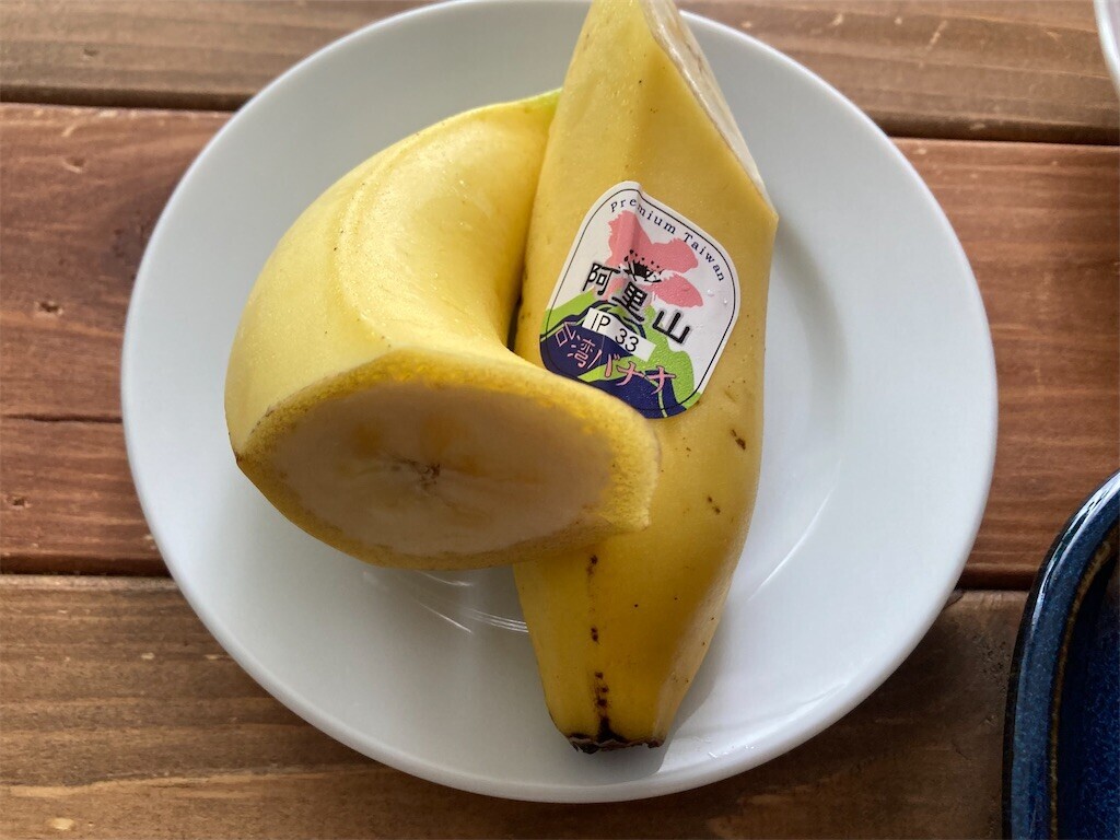 f:id:Magnoliarida:20230610104225j:image