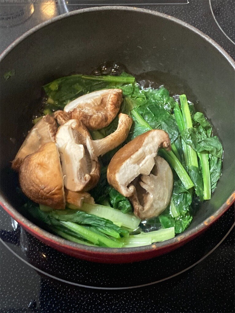 f:id:Magnoliarida:20230611101141j:image f:id:Magnoliarida:20230611101141j:image