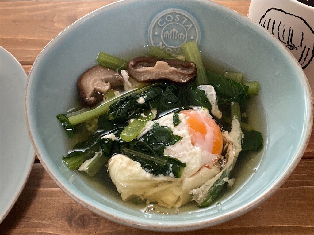 f:id:Magnoliarida:20230611103055j:image f:id:Magnoliarida:20230611103055j:image