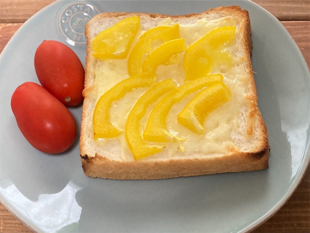 f:id:Magnoliarida:20230611103059j:image f:id:Magnoliarida:20230611103059j:image