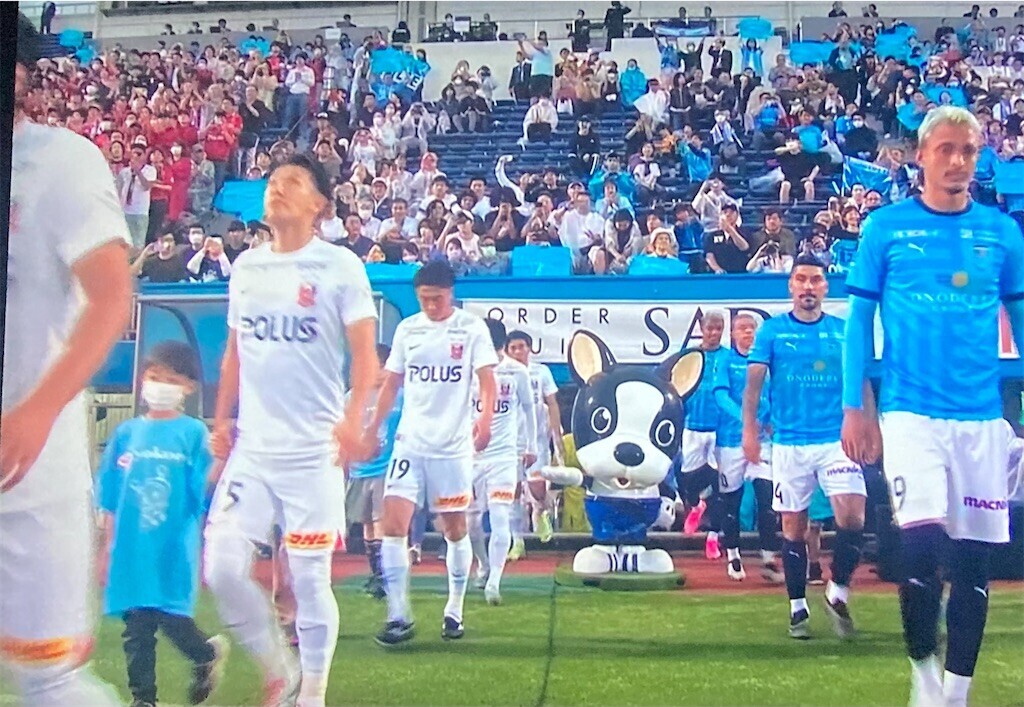 f:id:Magnoliarida:20230611203905j:image f:id:Magnoliarida:20230611203905j:image