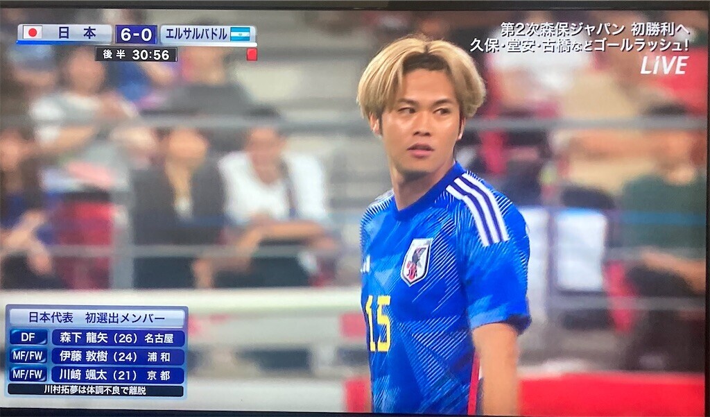 f:id:Magnoliarida:20230615210014j:image