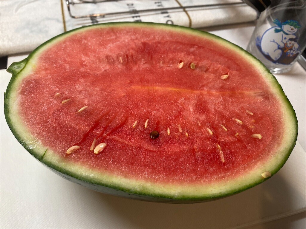 f:id:Magnoliarida:20230618104327j:image f:id:Magnoliarida:20230618104327j:image