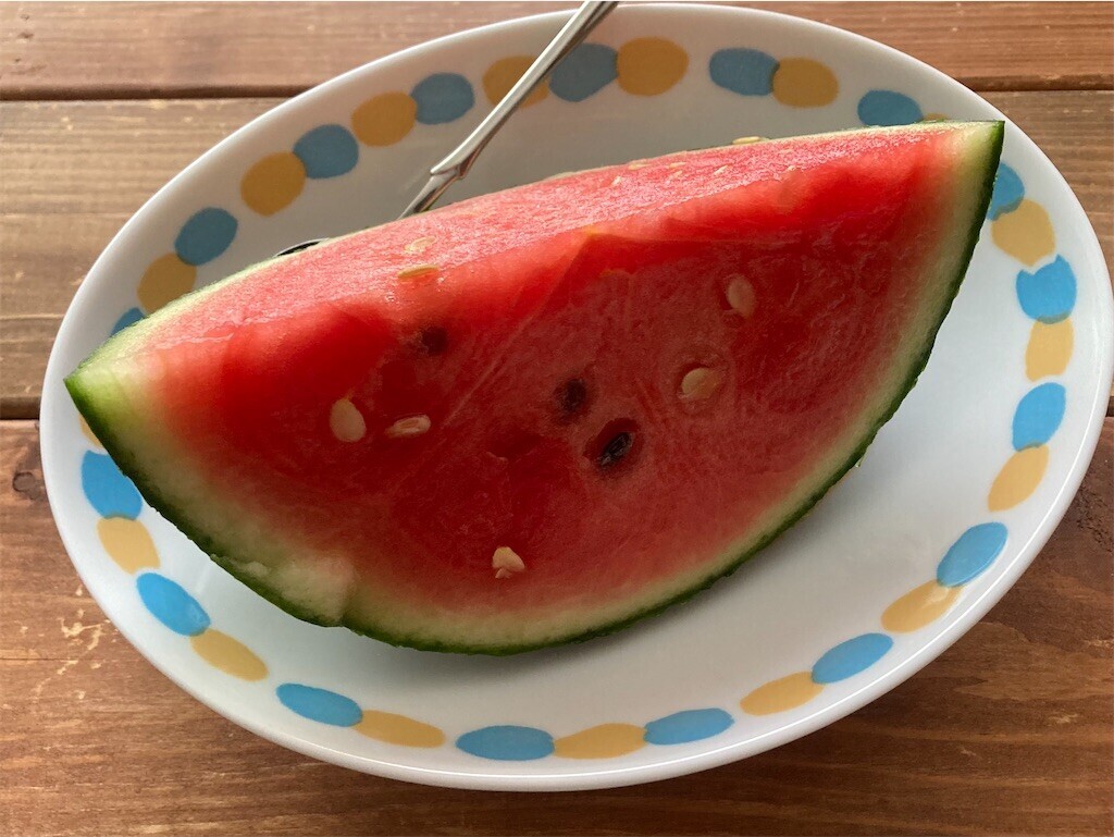 f:id:Magnoliarida:20230618104427j:image f:id:Magnoliarida:20230618104427j:image