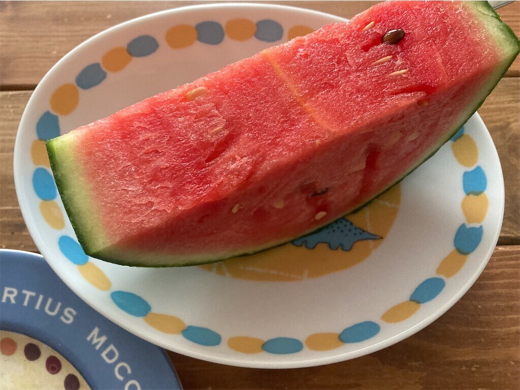 f:id:Magnoliarida:20230619073703j:image f:id:Magnoliarida:20230619073703j:image