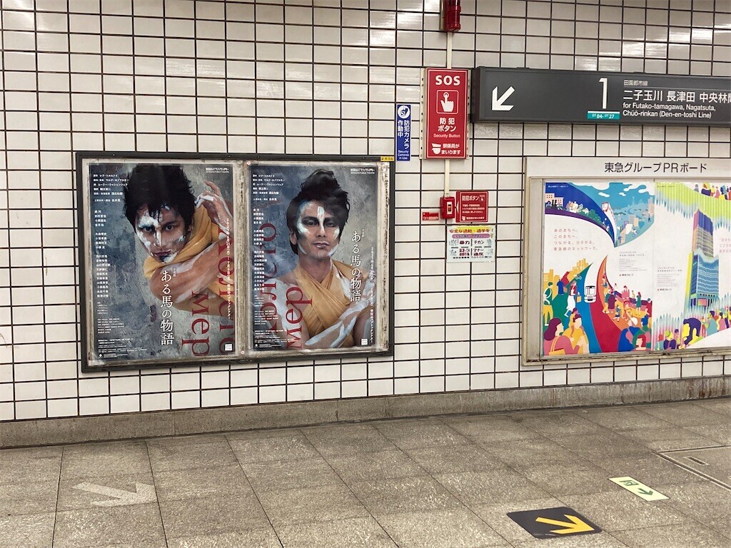 f:id:Magnoliarida:20230624003134j:image