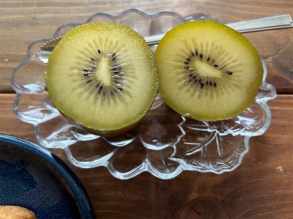 f:id:Magnoliarida:20230707083712j:image f:id:Magnoliarida:20230707083712j:image