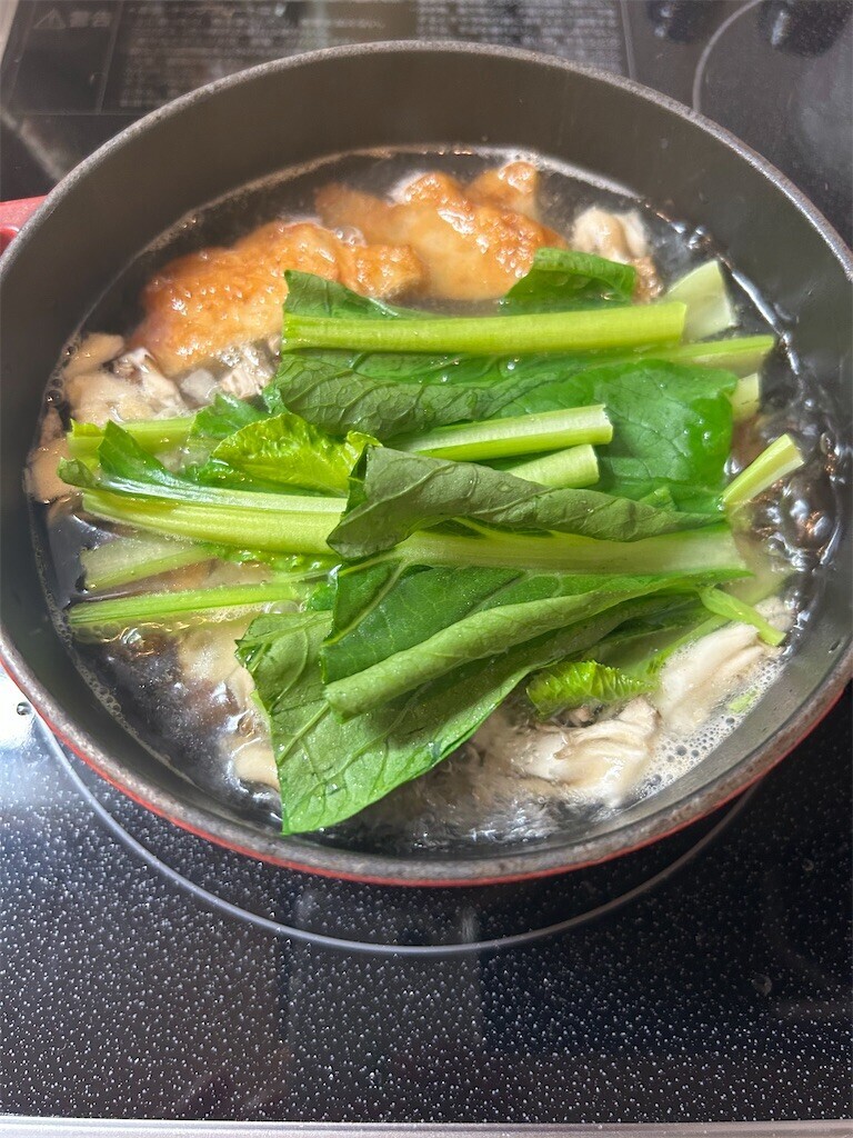 f:id:Magnoliarida:20230707083808j:image f:id:Magnoliarida:20230707083808j:image