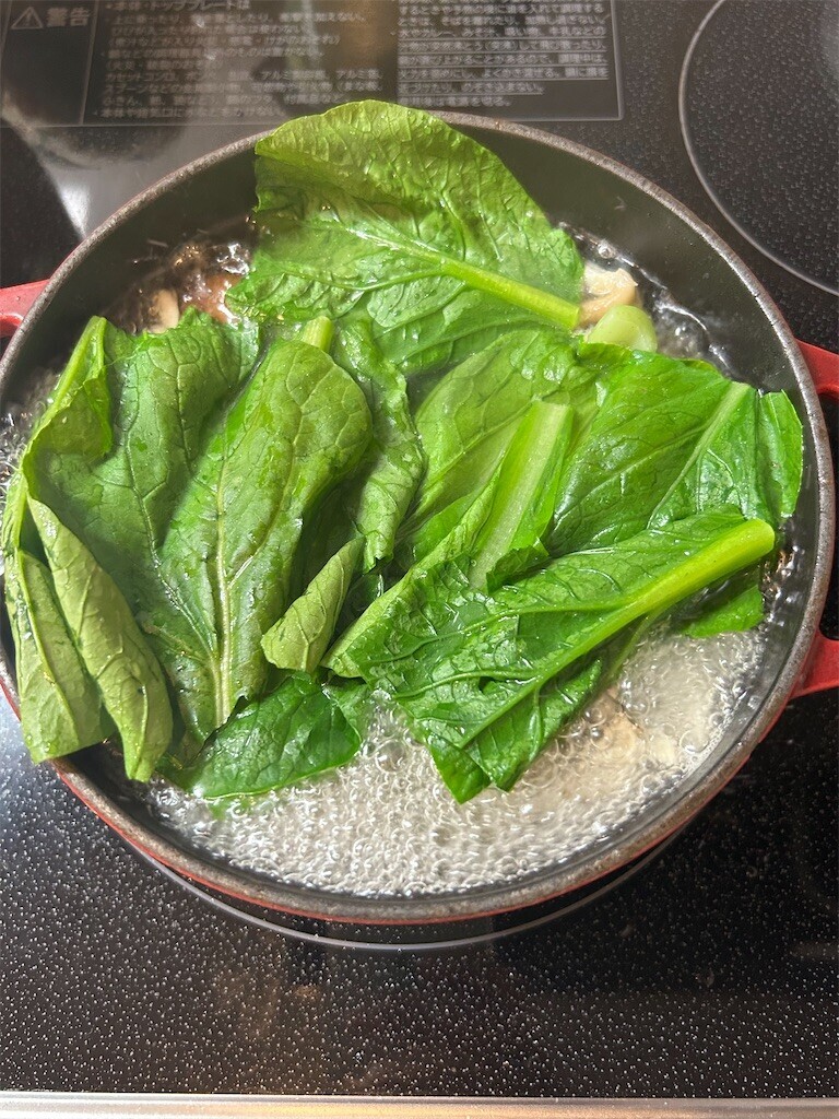 f:id:Magnoliarida:20230707083811j:image f:id:Magnoliarida:20230707083811j:image