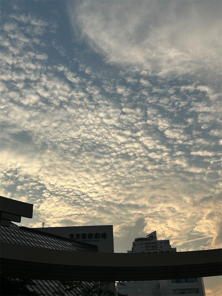 f:id:Magnoliarida:20230719010432j:image f:id:Magnoliarida:20230719010432j:image