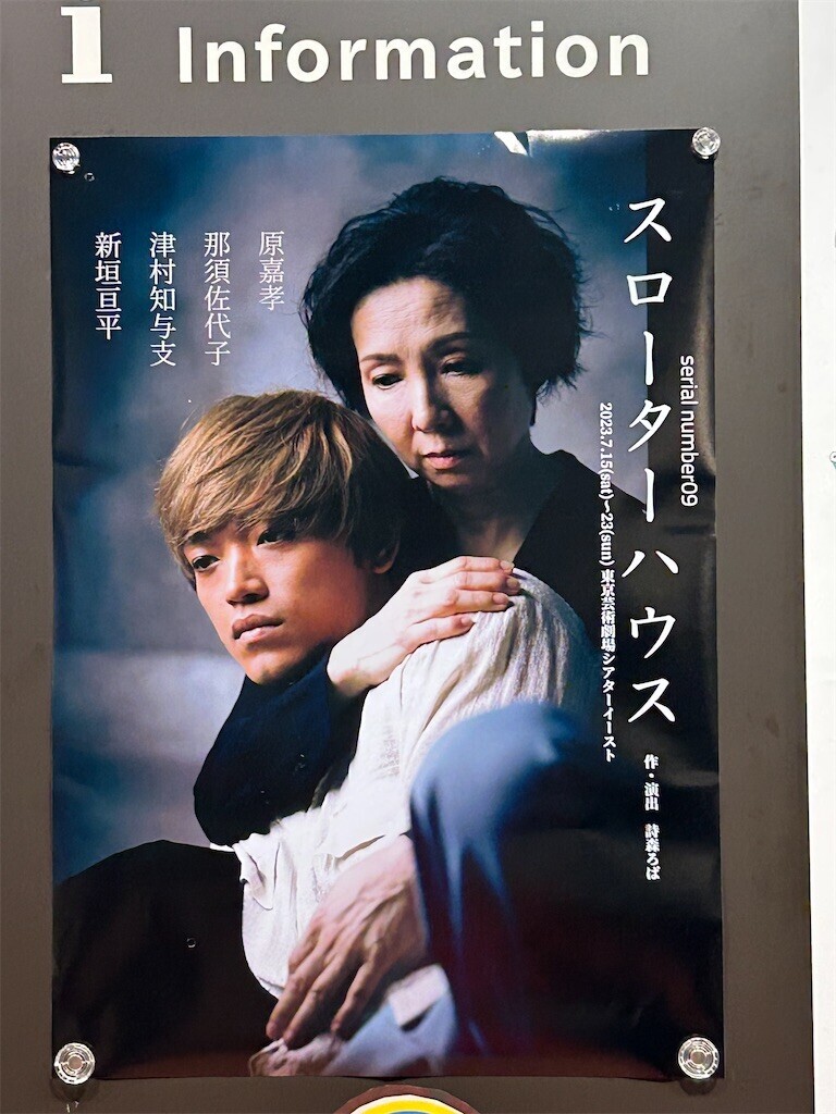 f:id:Magnoliarida:20230719010521j:image f:id:Magnoliarida:20230719010521j:image