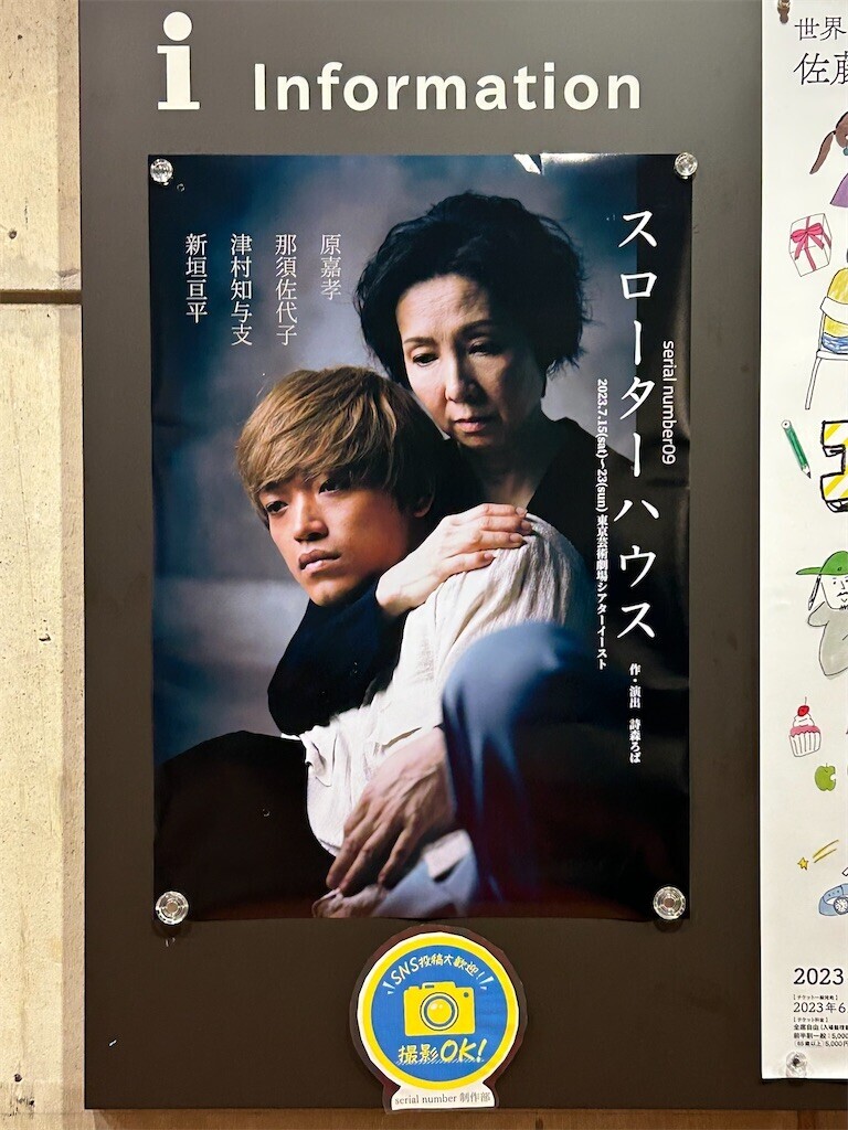 f:id:Magnoliarida:20230719010711j:image f:id:Magnoliarida:20230719010711j:image