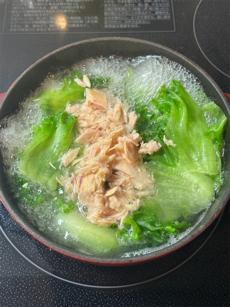 f:id:Magnoliarida:20230720075357j:image