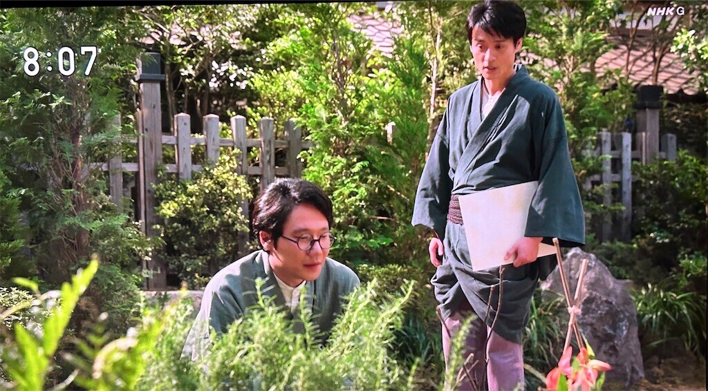 f:id:Magnoliarida:20230720220507j:image