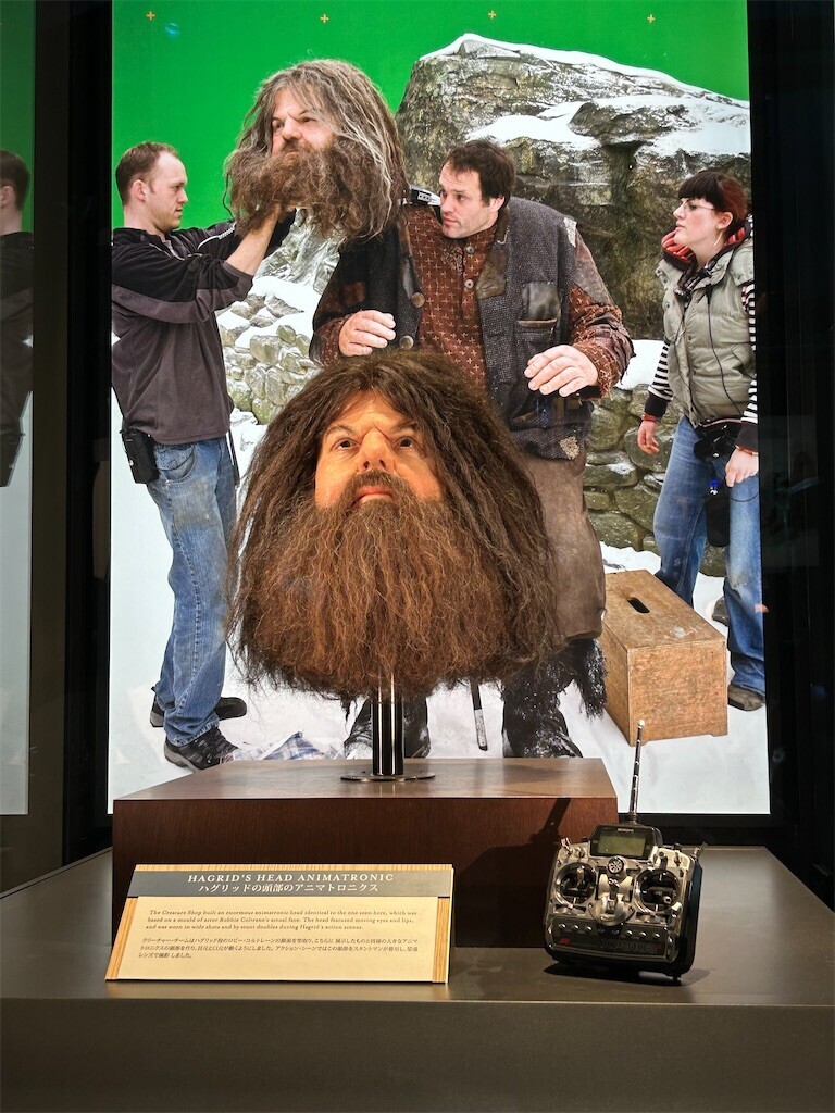 f:id:Magnoliarida:20230723033533j:image