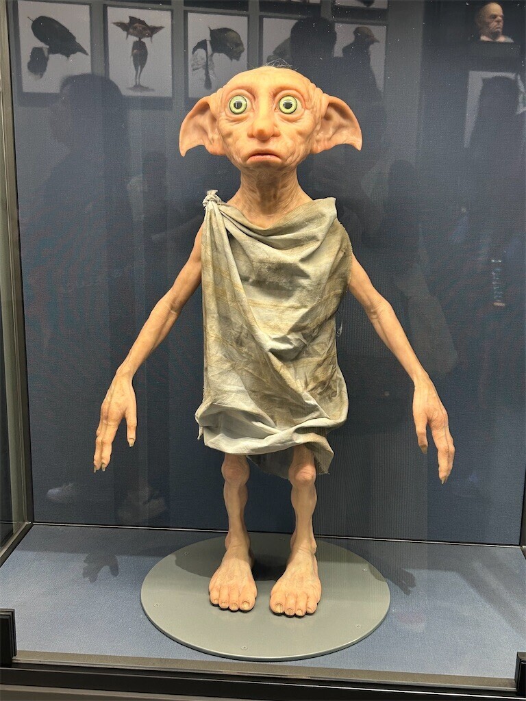 f:id:Magnoliarida:20230723033536j:image