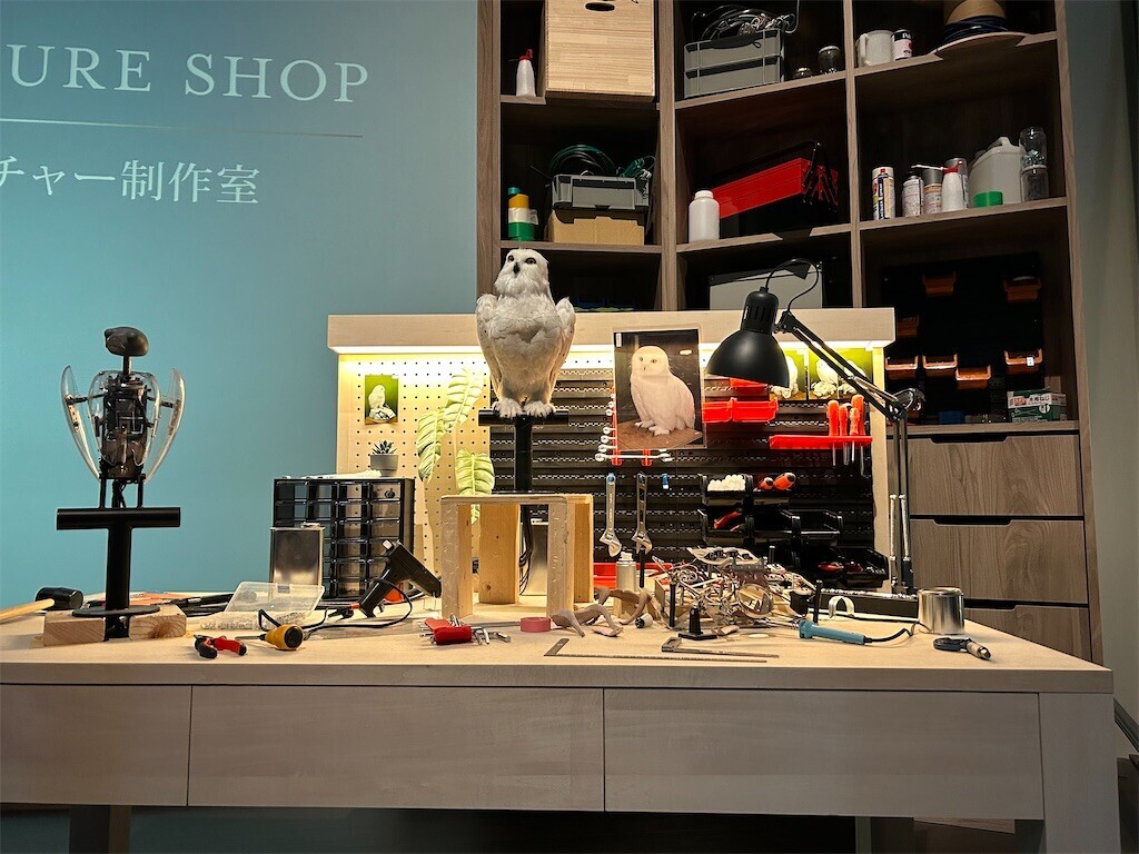 f:id:Magnoliarida:20230723033543j:image