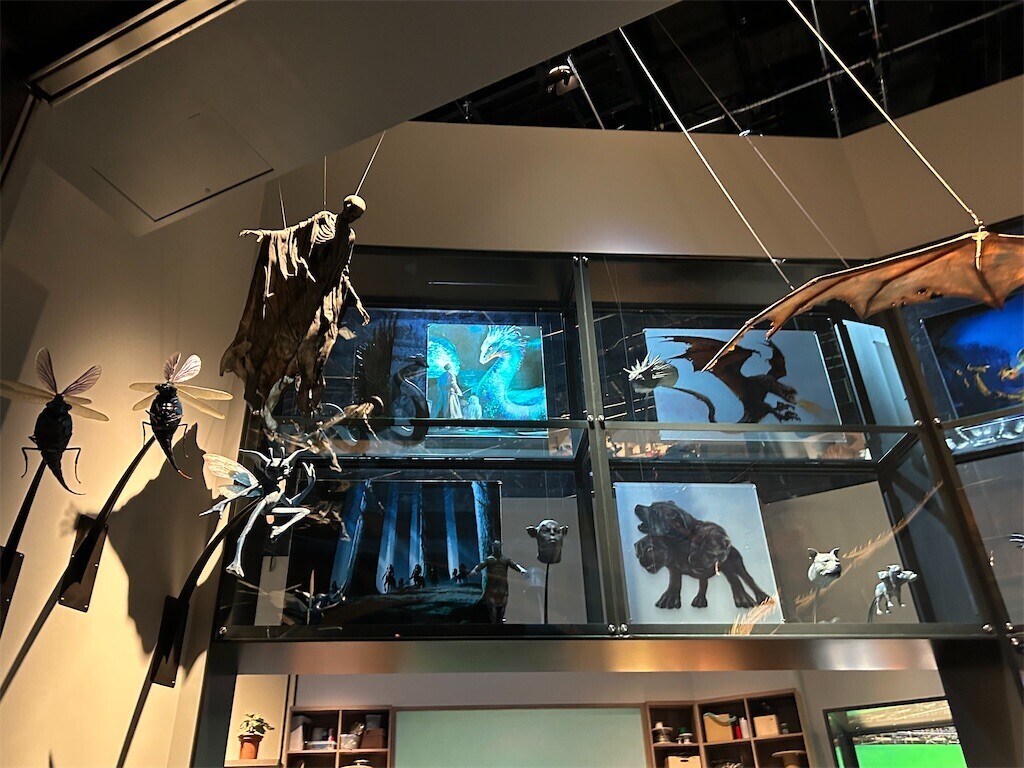 f:id:Magnoliarida:20230723033556j:image