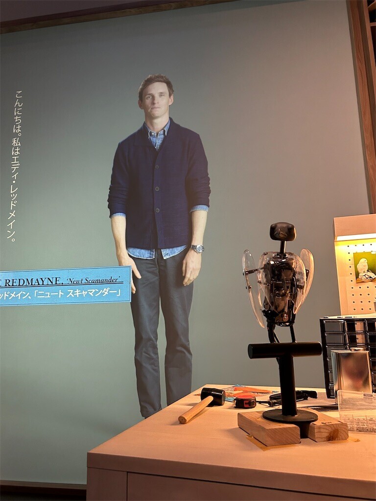 f:id:Magnoliarida:20230723033613j:image