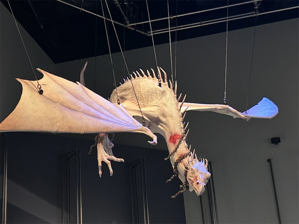 f:id:Magnoliarida:20230723033616j:image