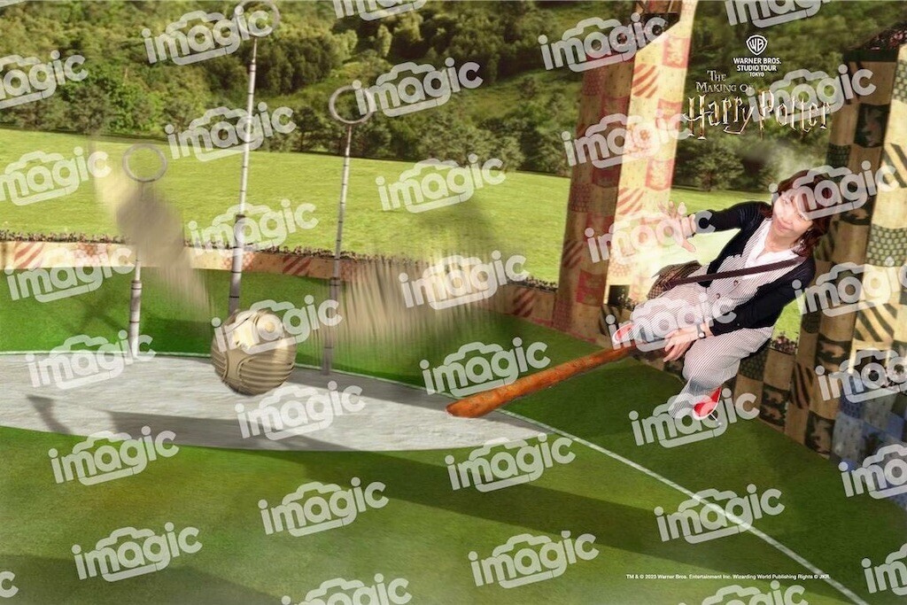 f:id:Magnoliarida:20230723120501j:image