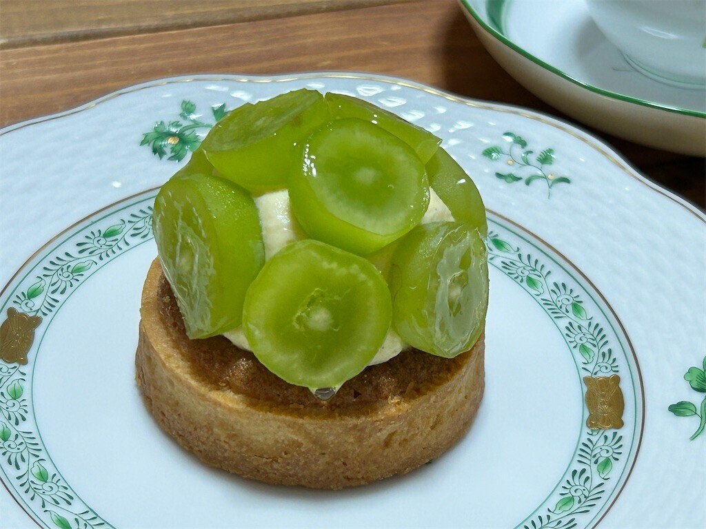 f:id:Magnoliarida:20230819204219j:image