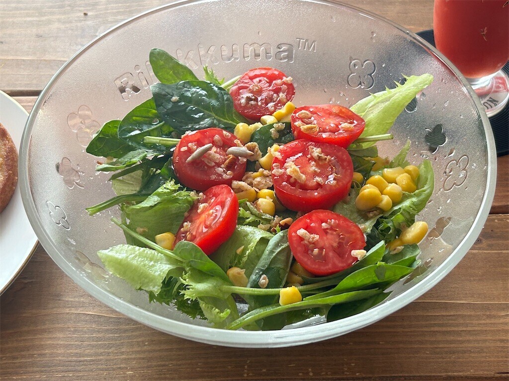 f:id:Magnoliarida:20230820111638j:image f:id:Magnoliarida:20230820111638j:image