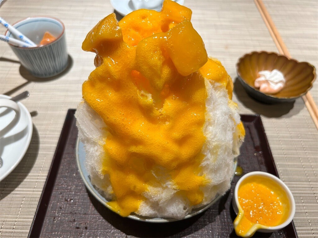 f:id:Magnoliarida:20230823005411j:image