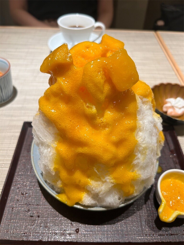 f:id:Magnoliarida:20230823005521j:image