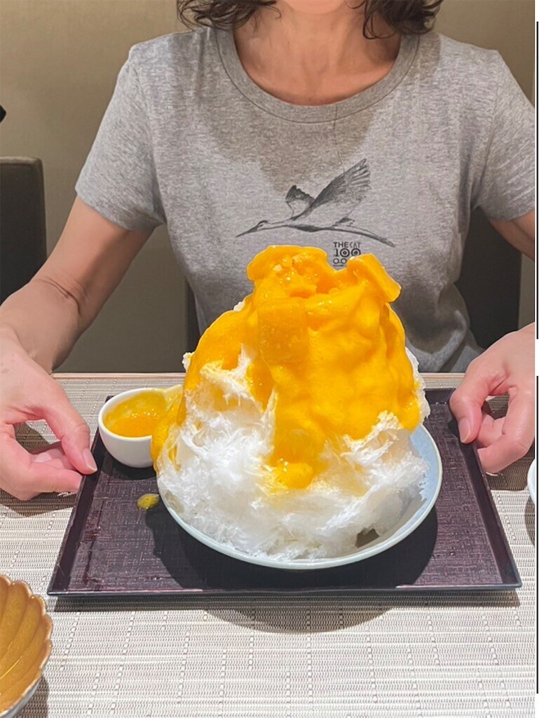 f:id:Magnoliarida:20230823005525j:image