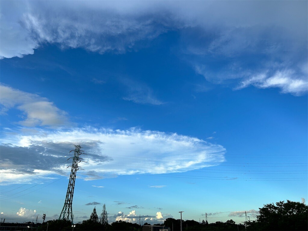 f:id:Magnoliarida:20230823010600j:image