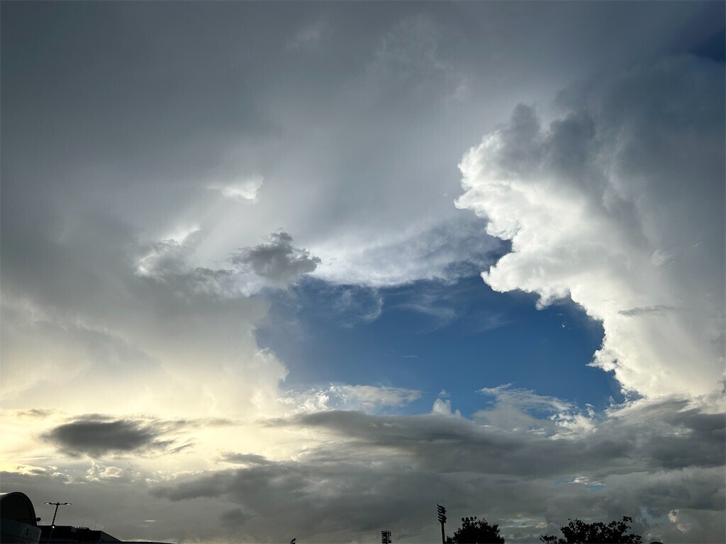 f:id:Magnoliarida:20230823010607j:image