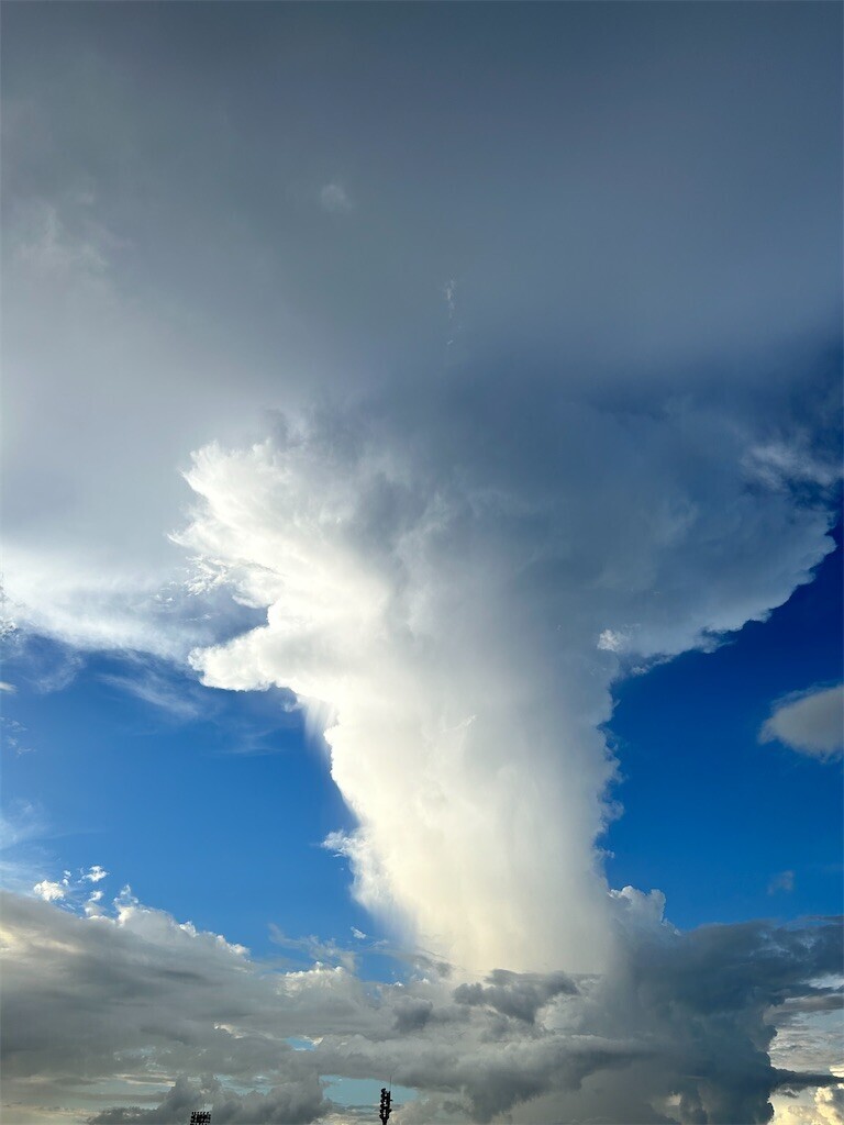 f:id:Magnoliarida:20230823010610j:image