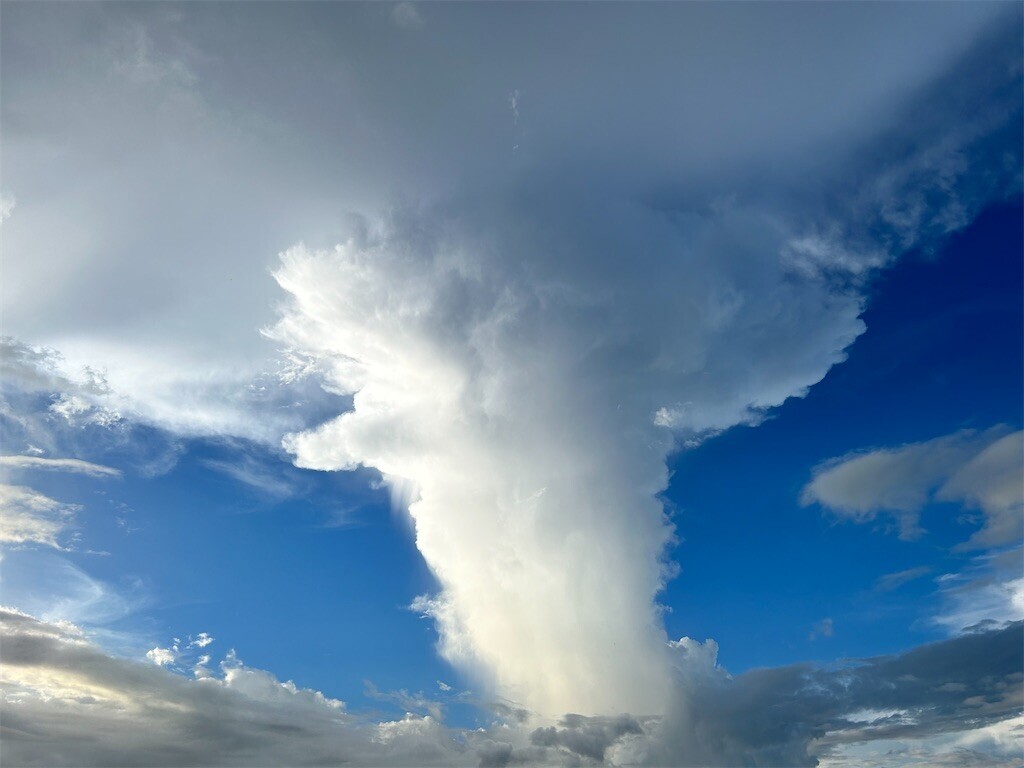 f:id:Magnoliarida:20230823010613j:image