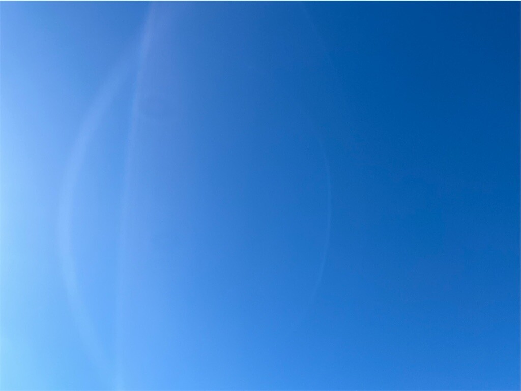 f:id:Magnoliarida:20230825082839j:image f:id:Magnoliarida:20230825082839j:image