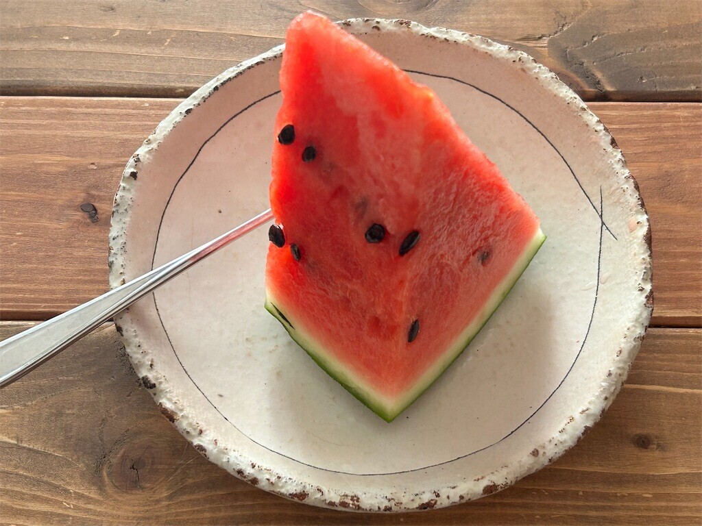 f:id:Magnoliarida:20230825082949j:image